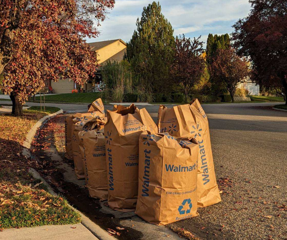 Brown paper leaf bags full of leaves at the curb in fall